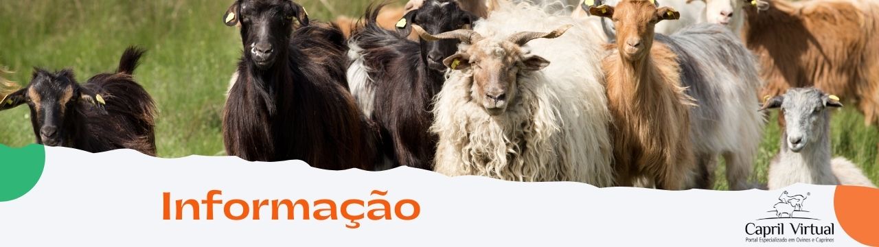 Gestão Agrícola: Informação